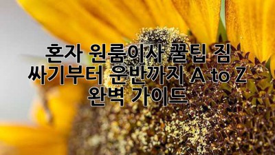 혼자 원룸이사 꿀팁🍯: 짐 싸기부터 운반까지 A to Z 완벽 가이드!